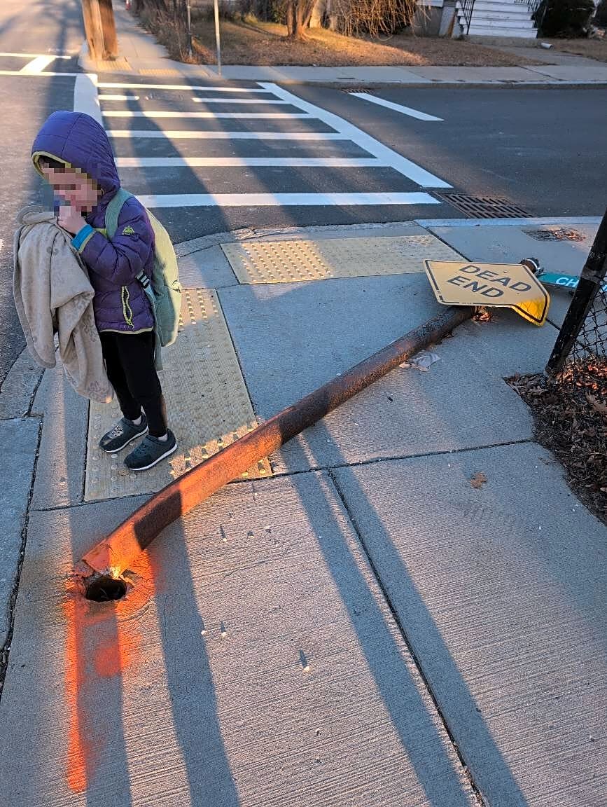 Image submitted with report