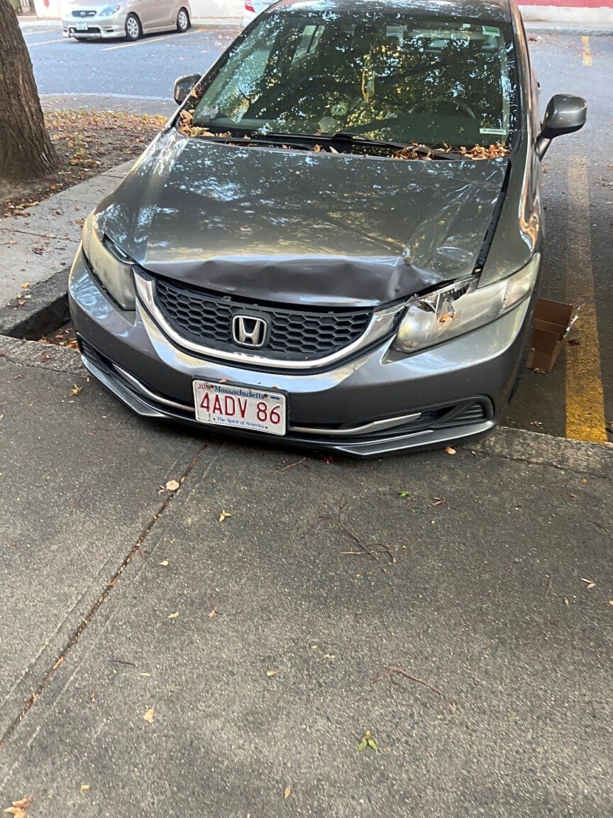 Image submitted with report