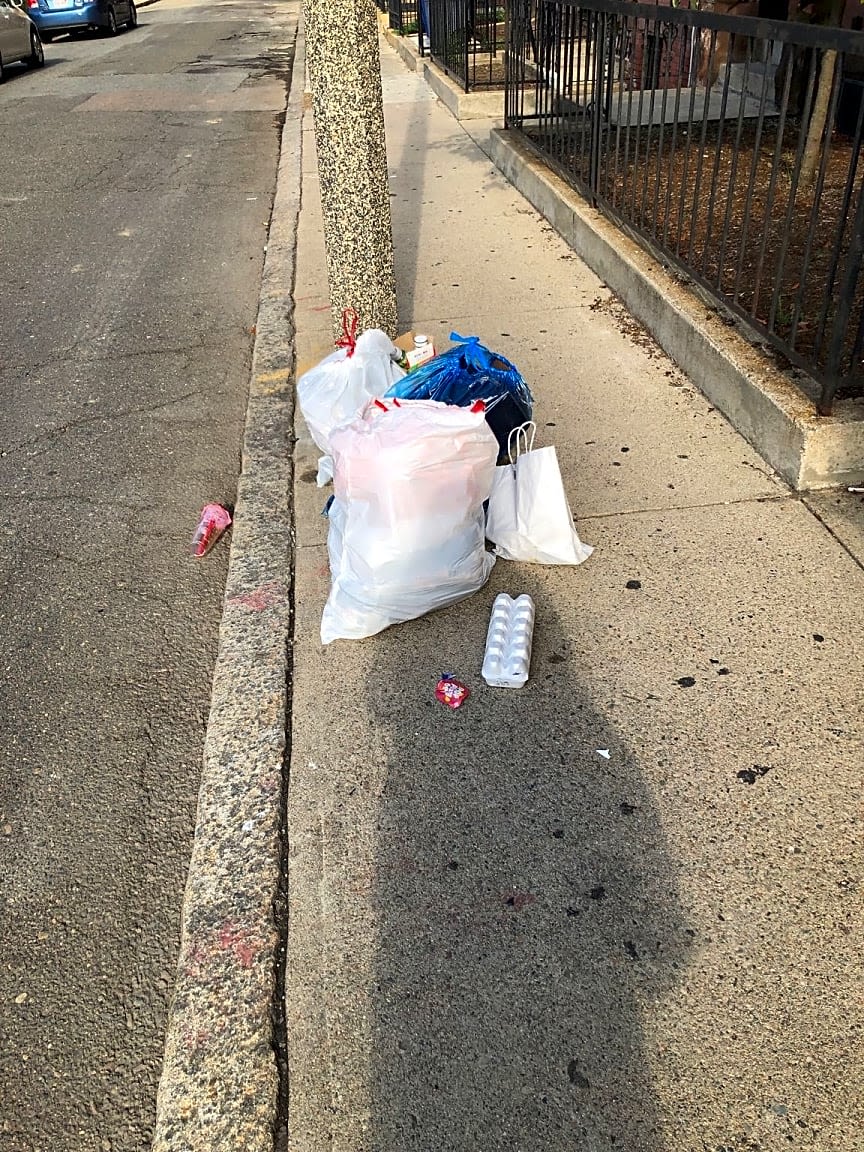 Image submitted with report