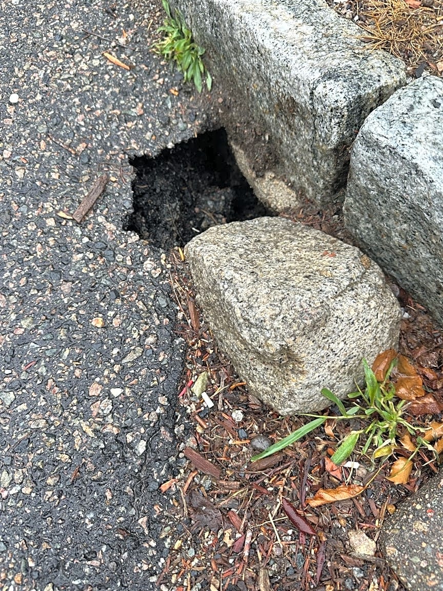 Image submitted with report