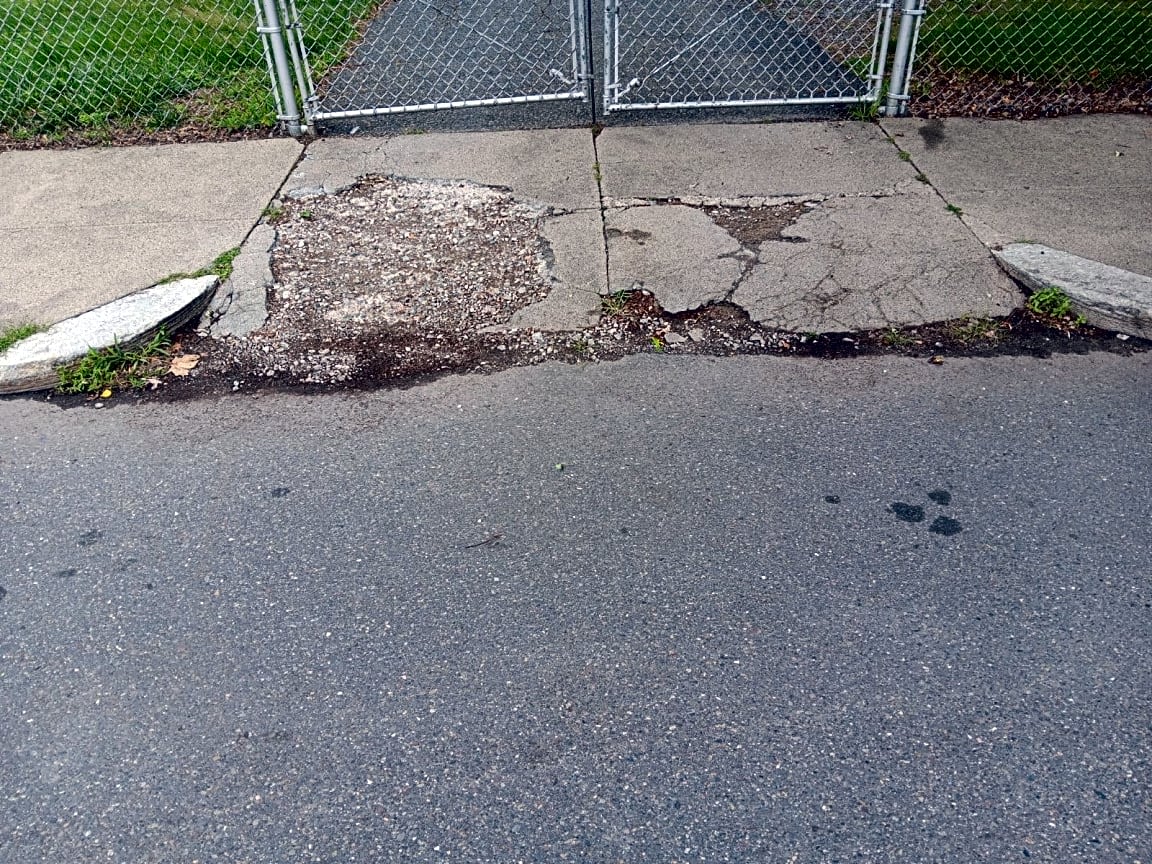 Image submitted with report