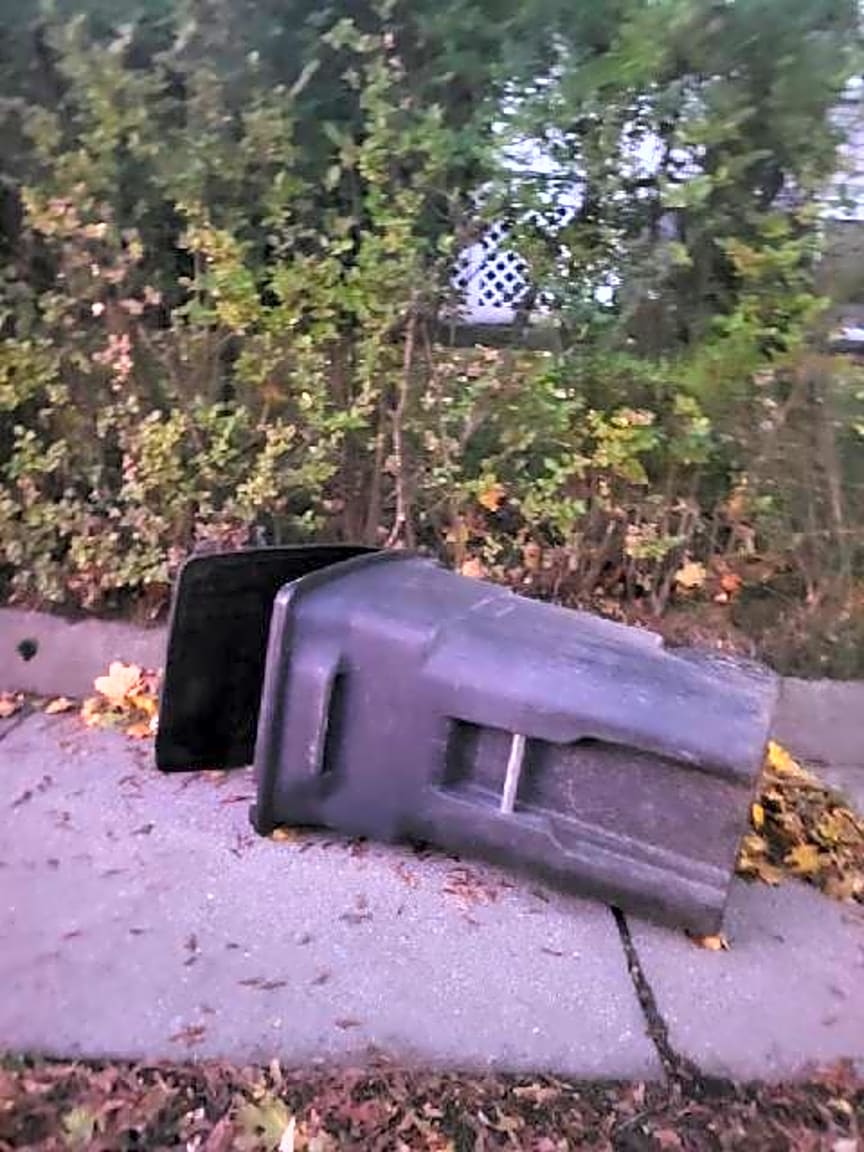 Image submitted with report