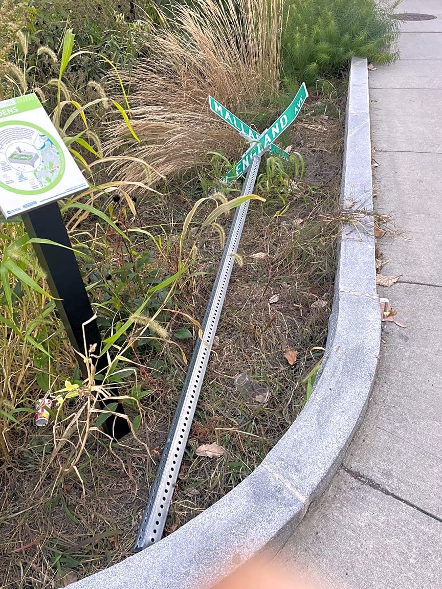 Image submitted with report