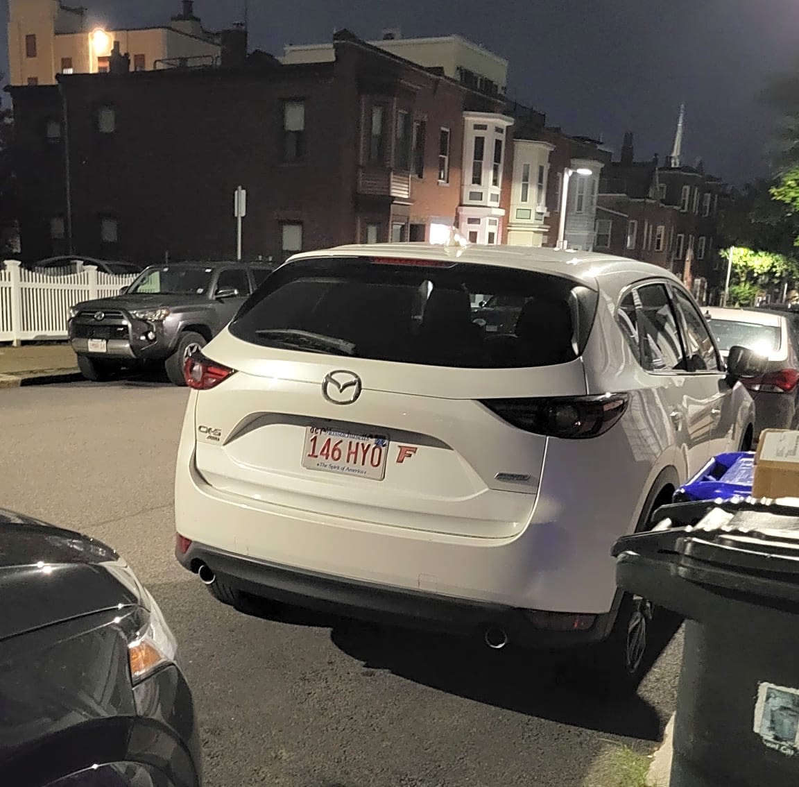 Image submitted with report
