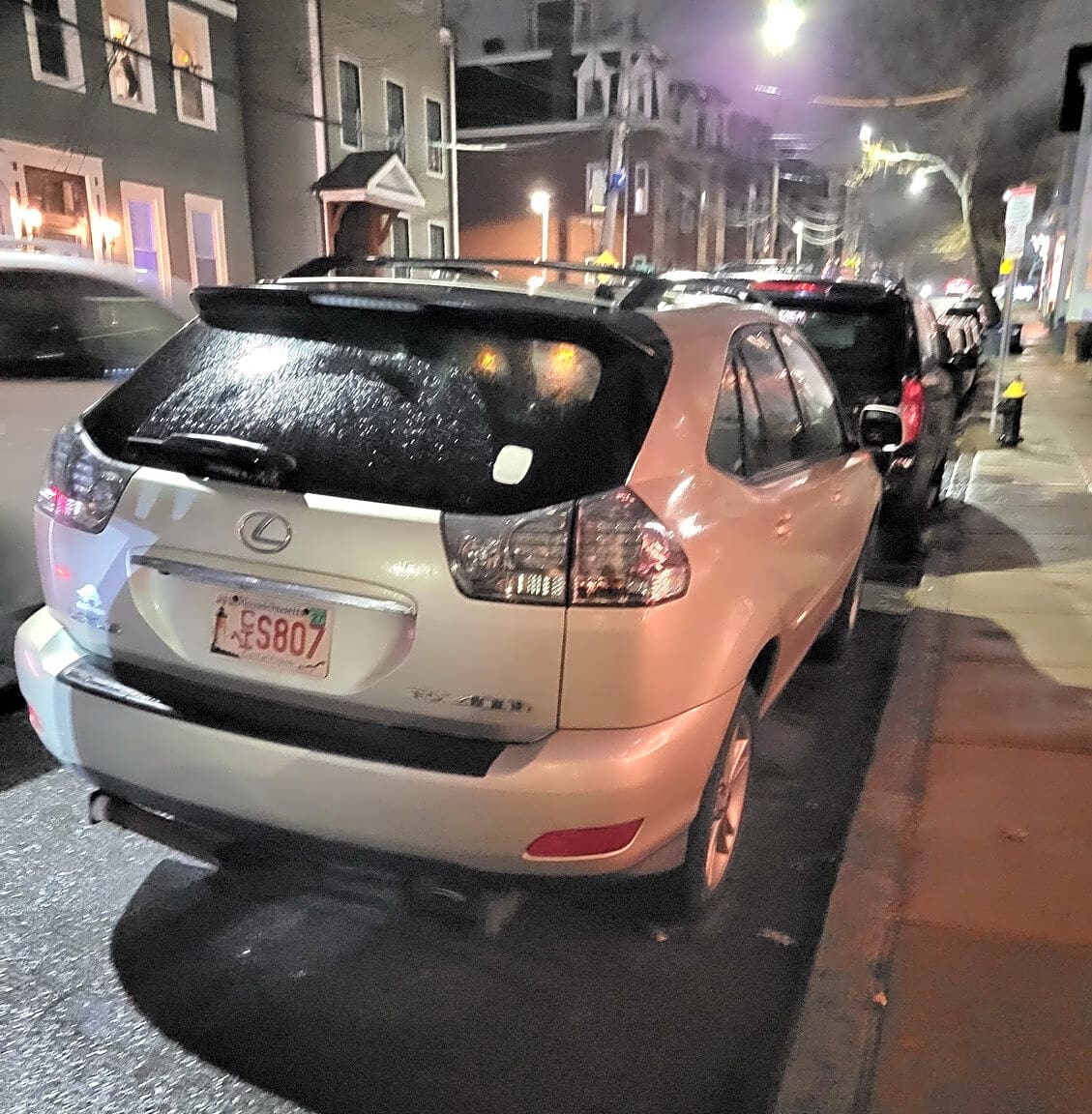 Image submitted with report