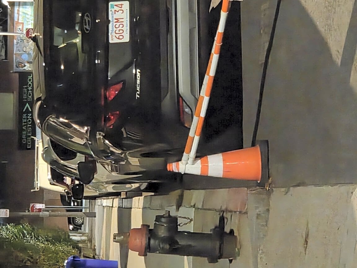 Image submitted with report