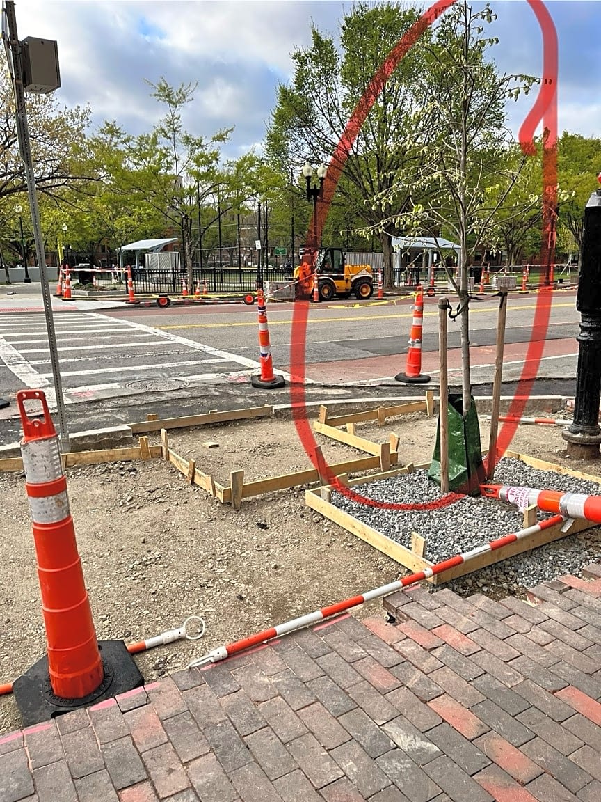 Image submitted with report