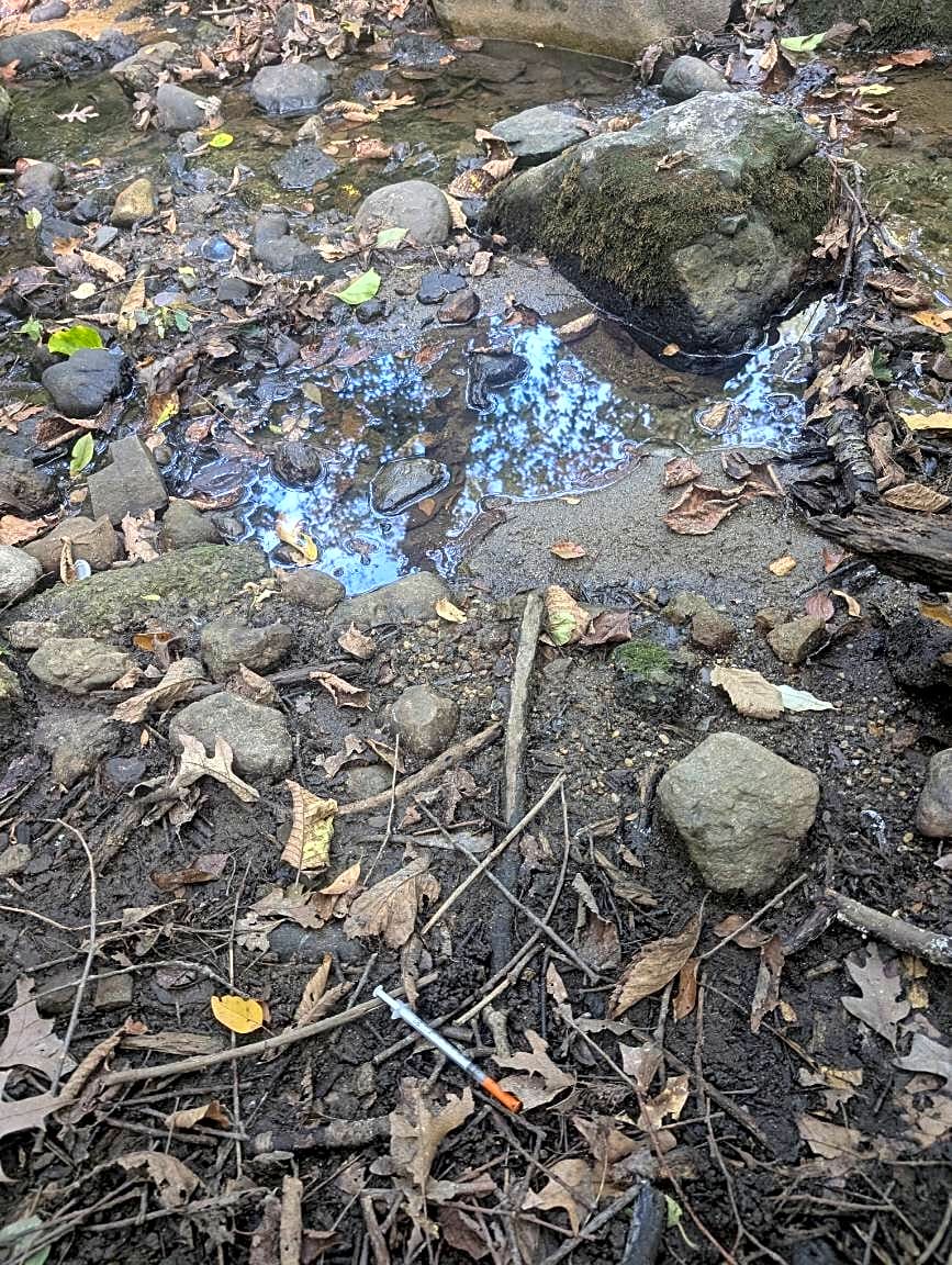 Image submitted with report