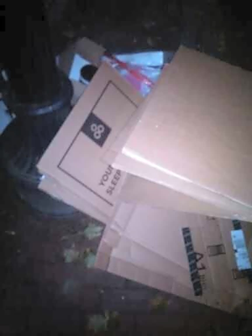 Image submitted with report