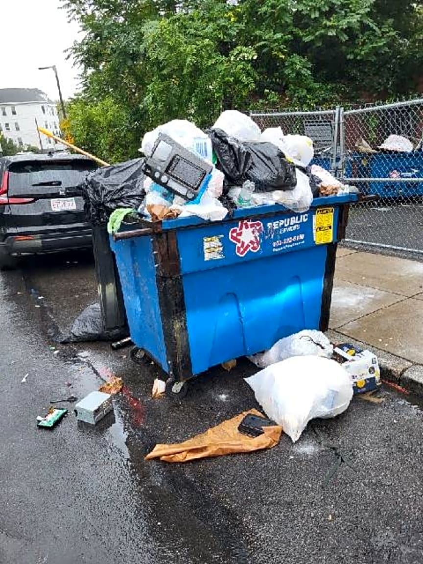 Image submitted with report