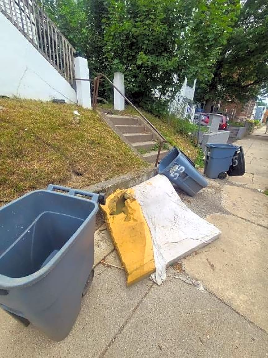 Image submitted with report