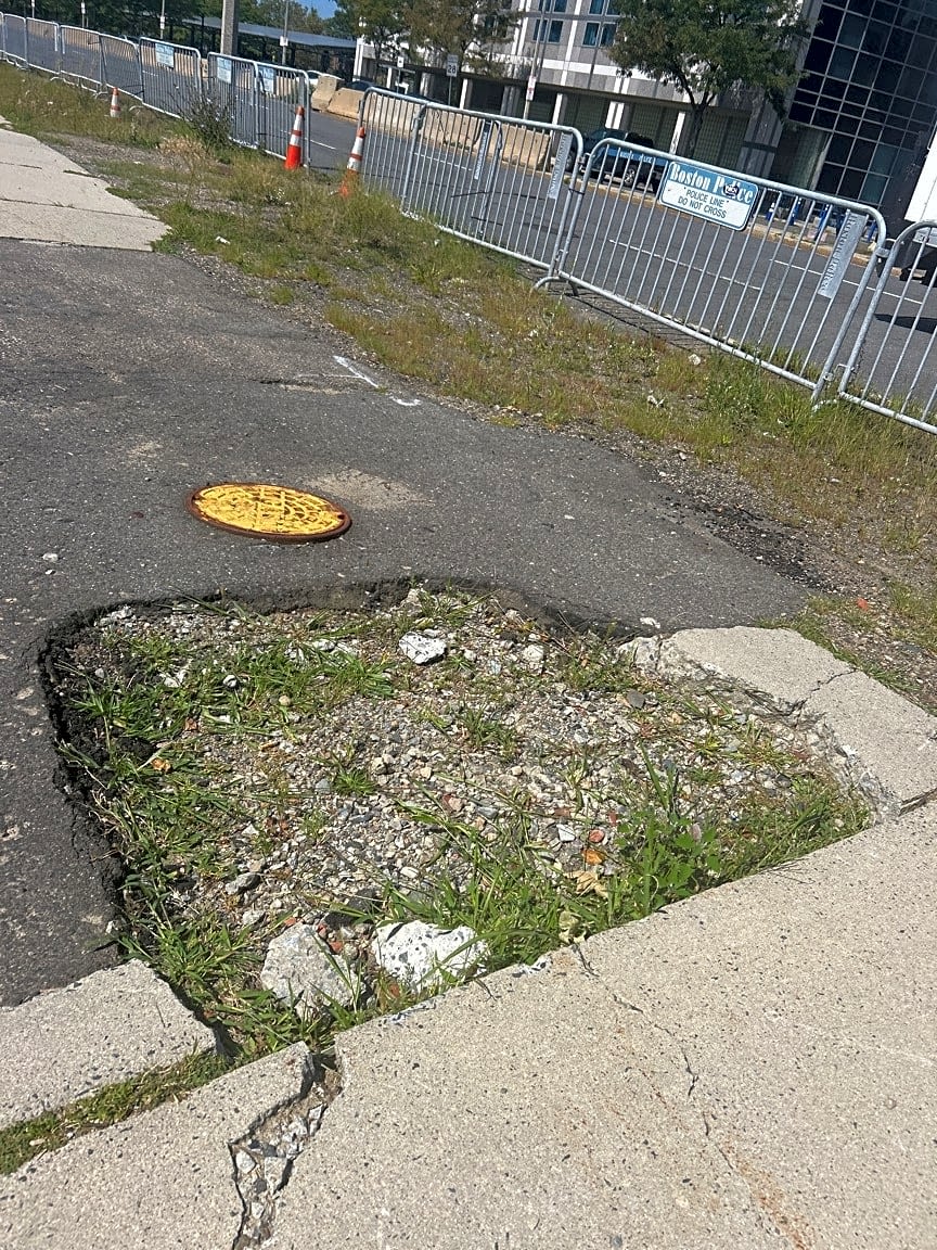 Image submitted with report