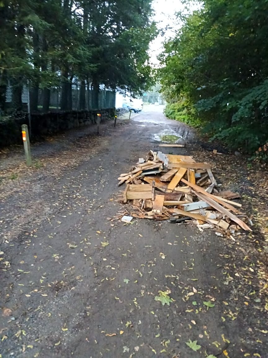 Image submitted with report