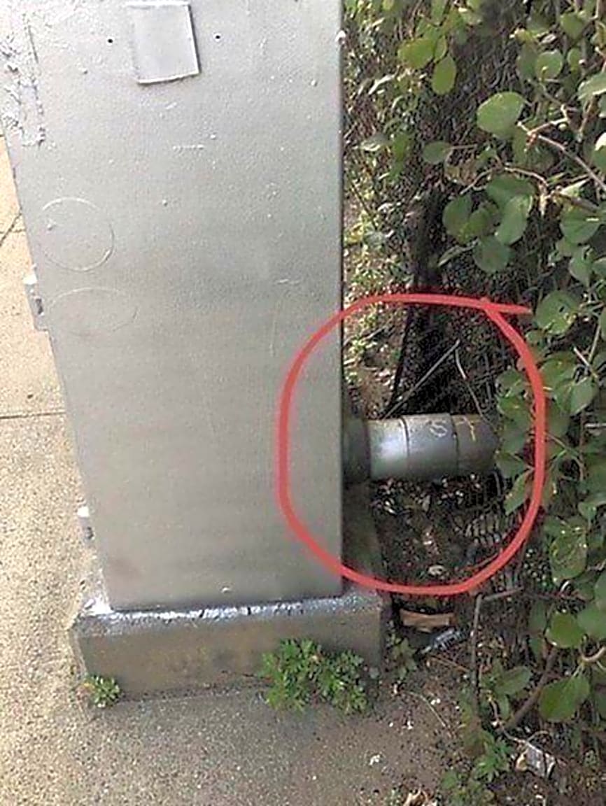 Image submitted with report
