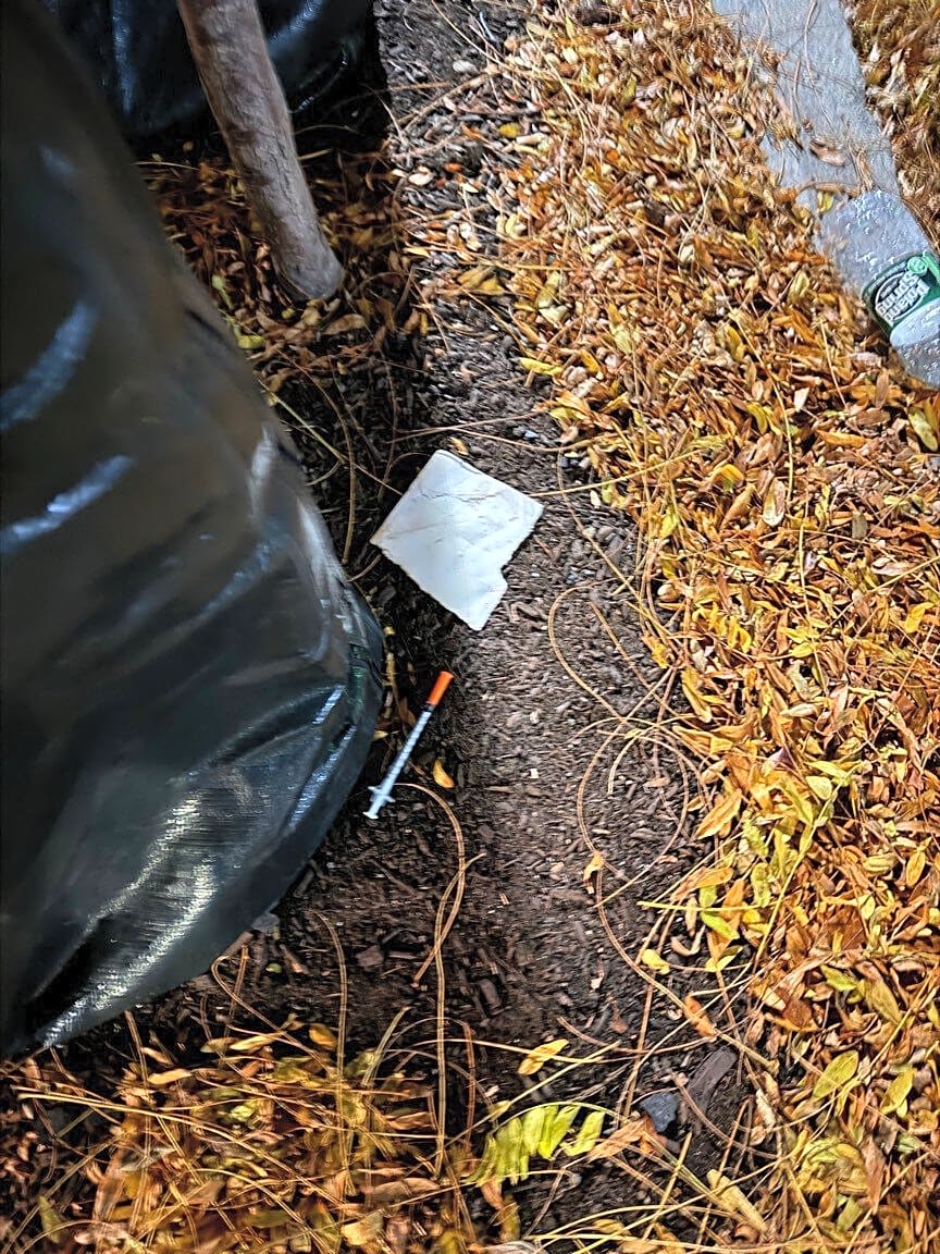 Image submitted with report