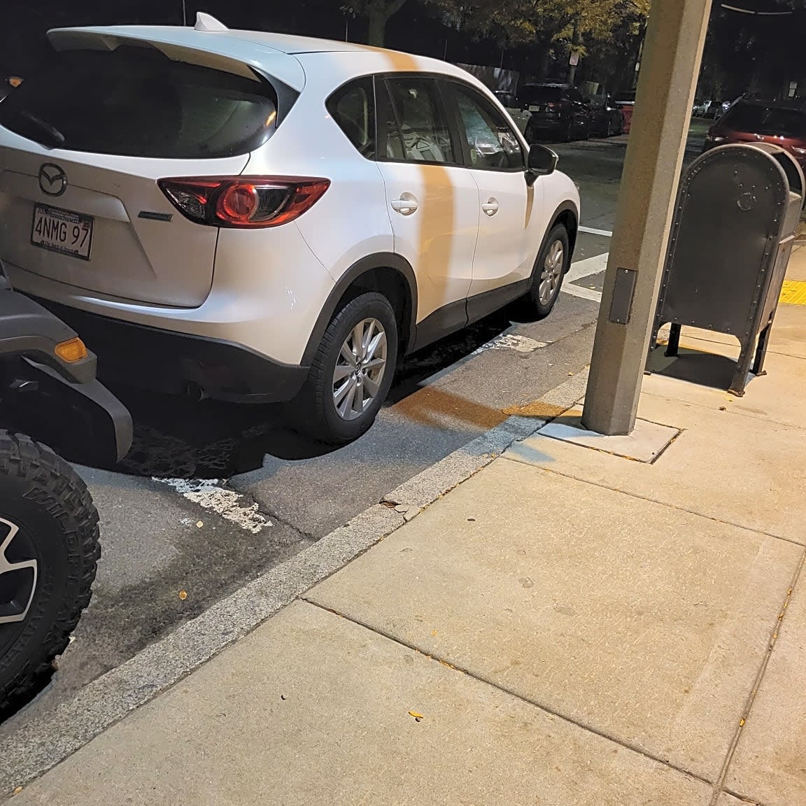 Image submitted with report