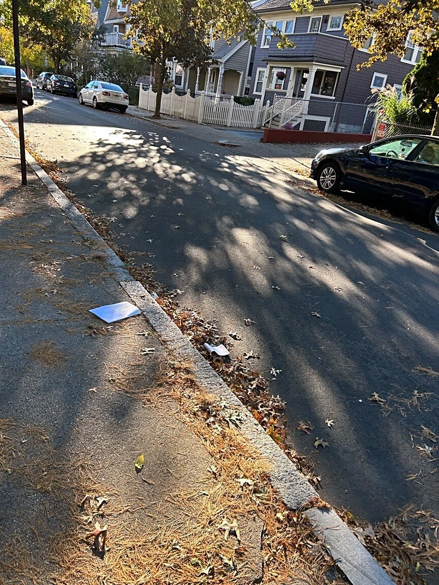Image submitted with report