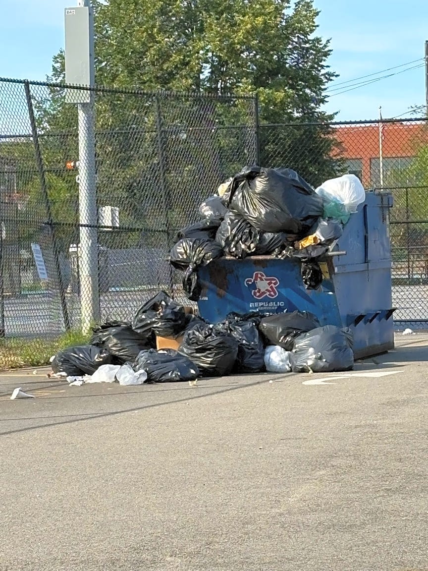 Image submitted with report