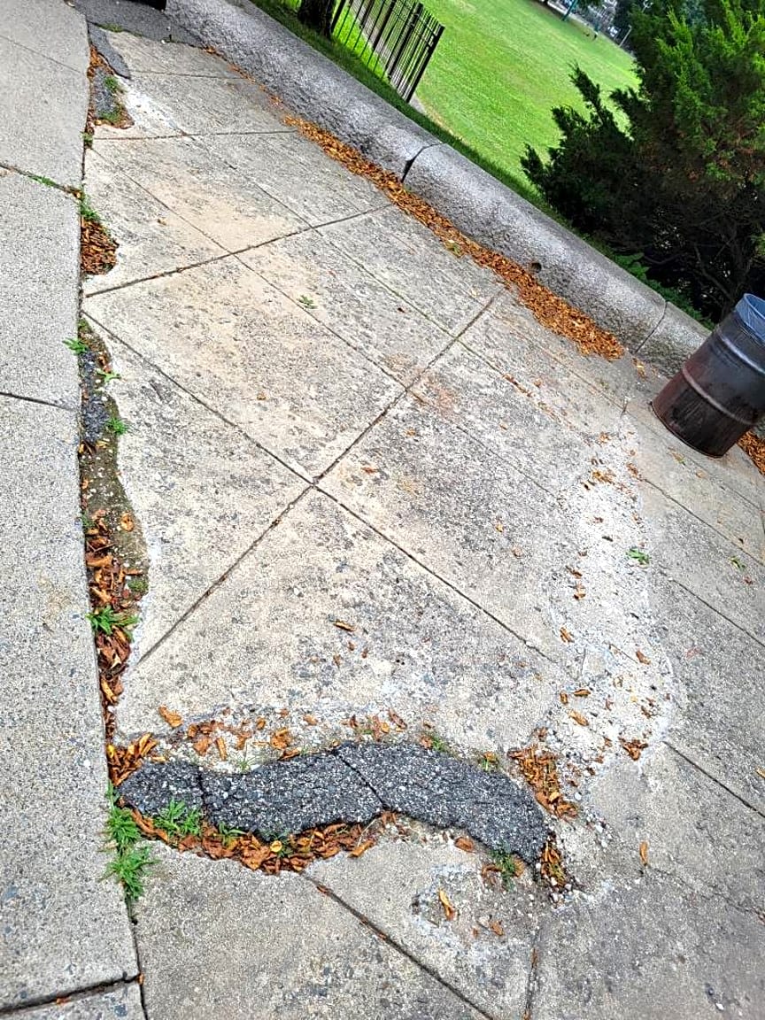 Image submitted with report