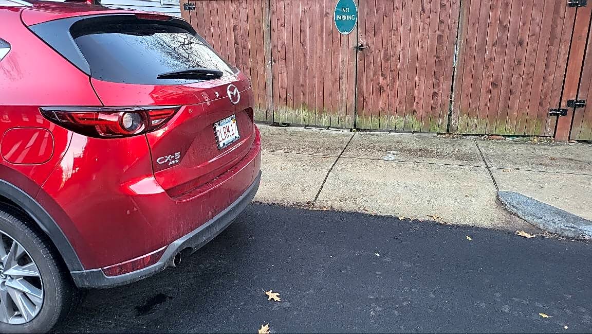 Image submitted with report