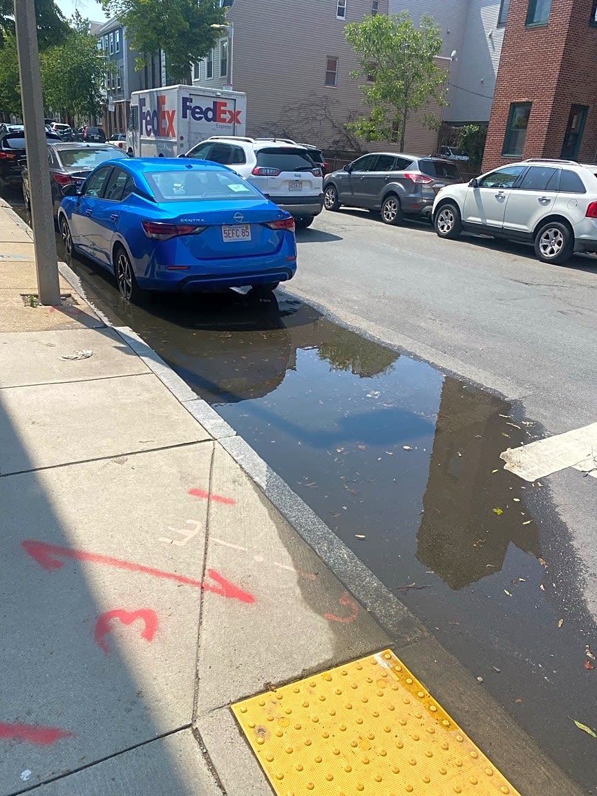 Image submitted with report