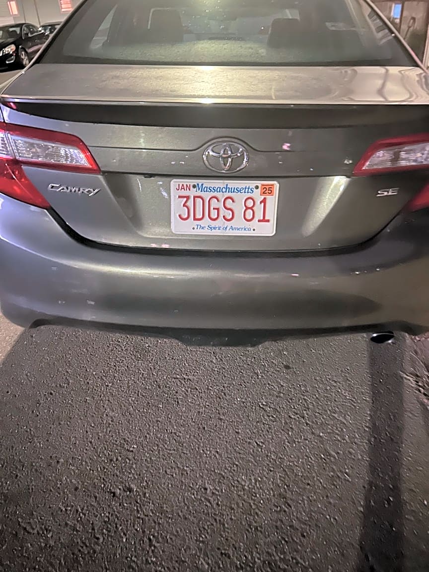 Image submitted with report