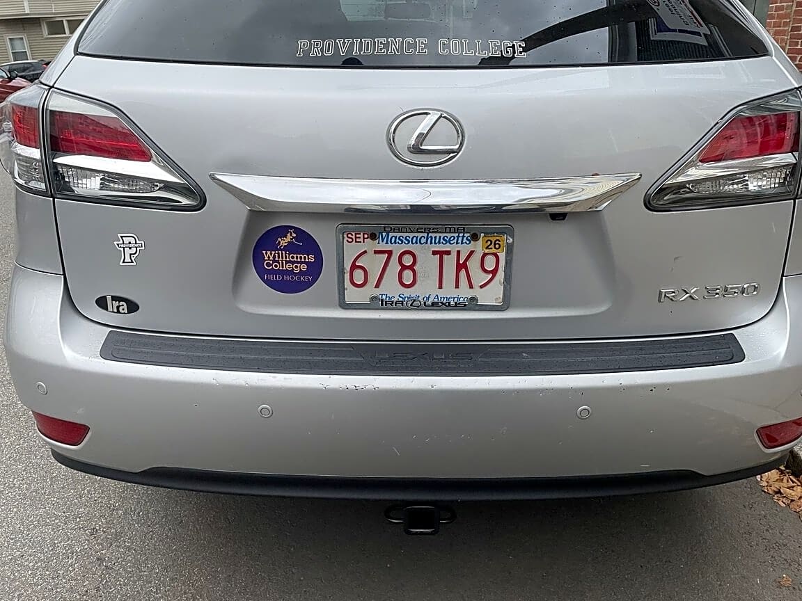 Image submitted with report