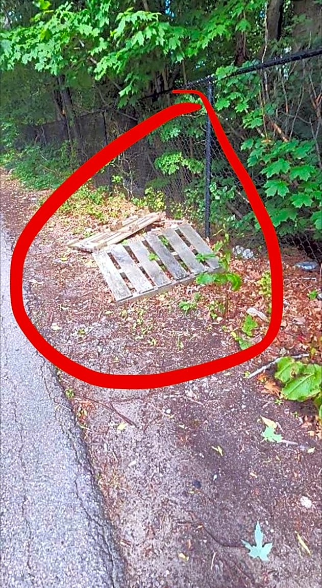 Image submitted with report