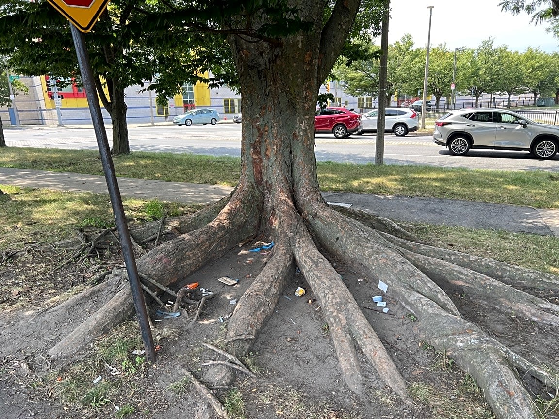 Image submitted with report
