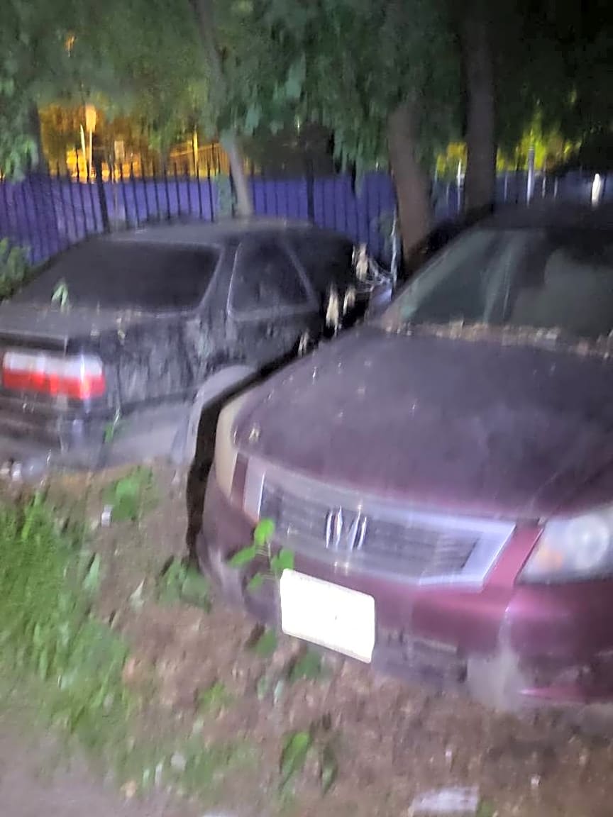 Image submitted with report