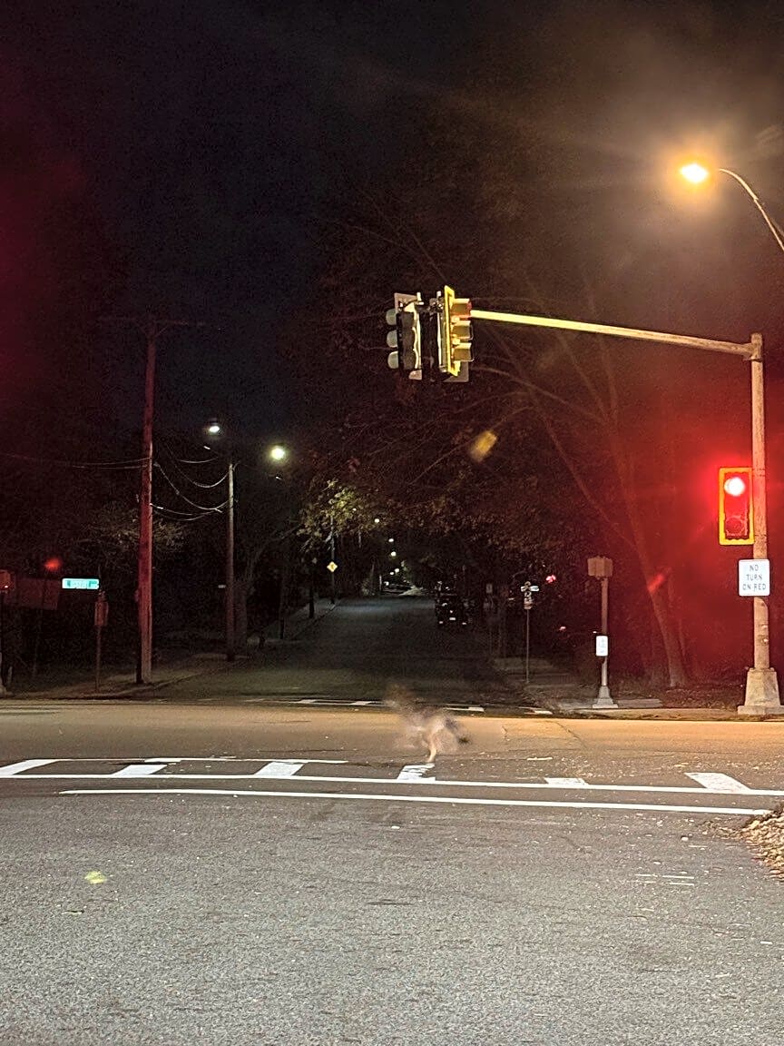 Image submitted with report