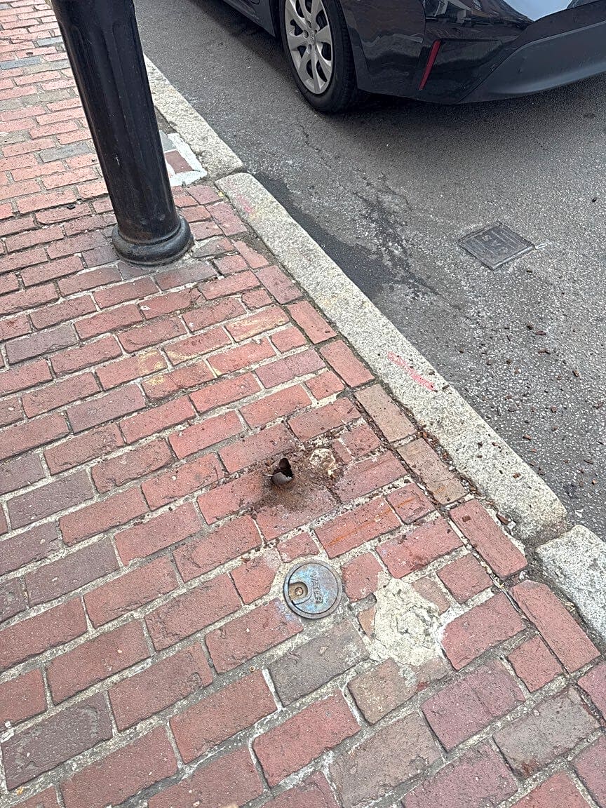 Image submitted with report