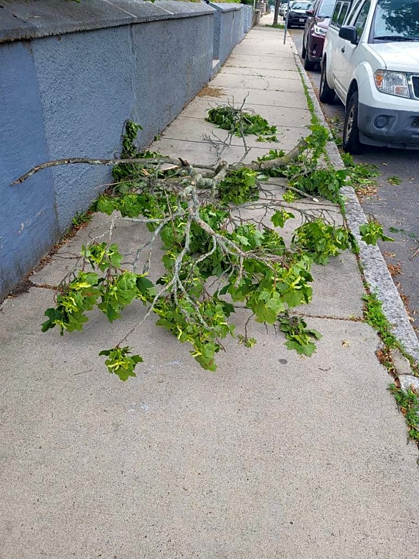 Image submitted with report