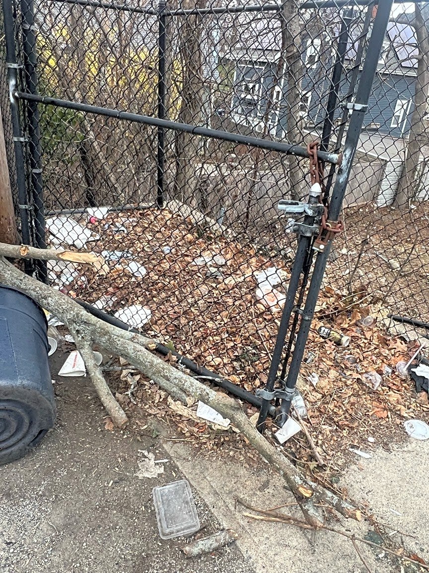 Image submitted with report