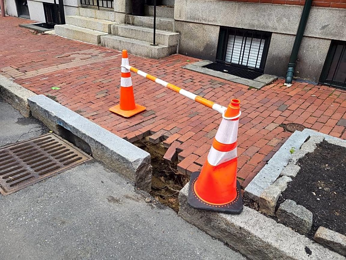 Image submitted with report