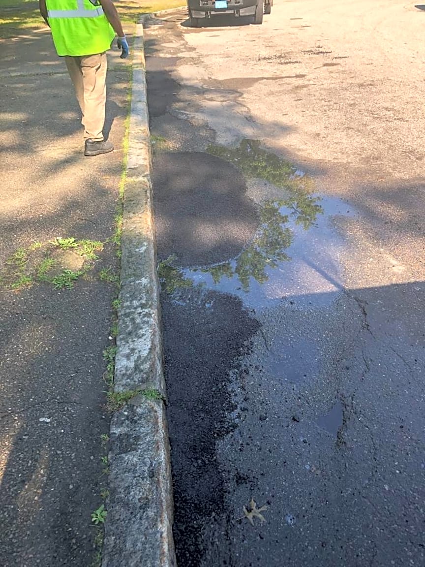 Image submitted with report