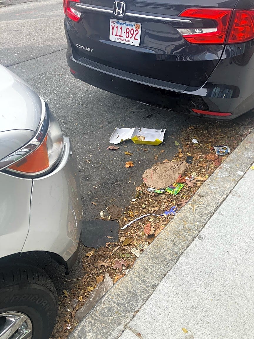 Image submitted with report