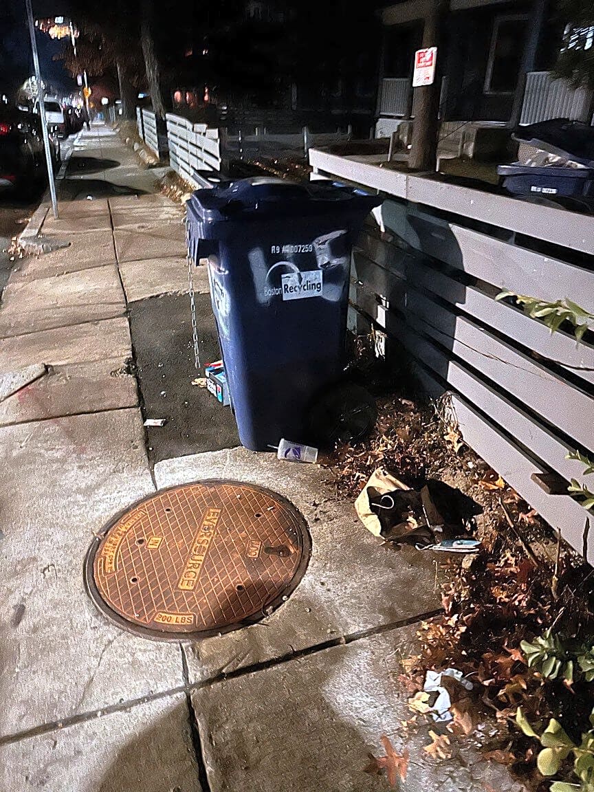 Image submitted with report