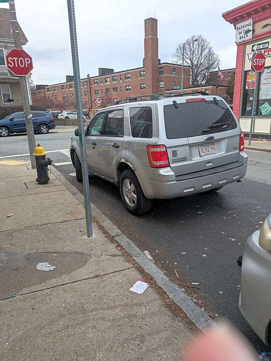 Image submitted with report