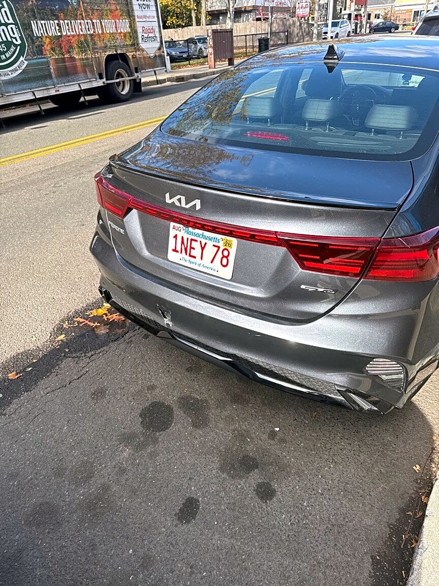 Image submitted with report