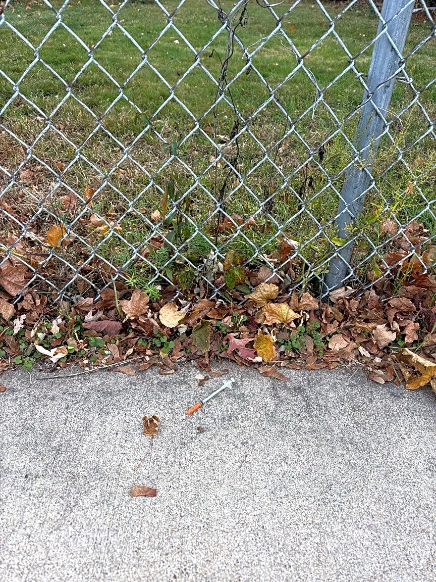 Image submitted with report