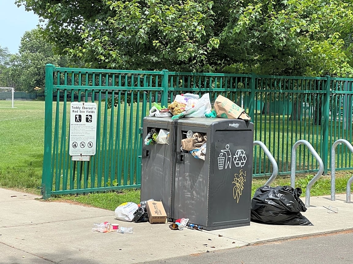 Image submitted with report