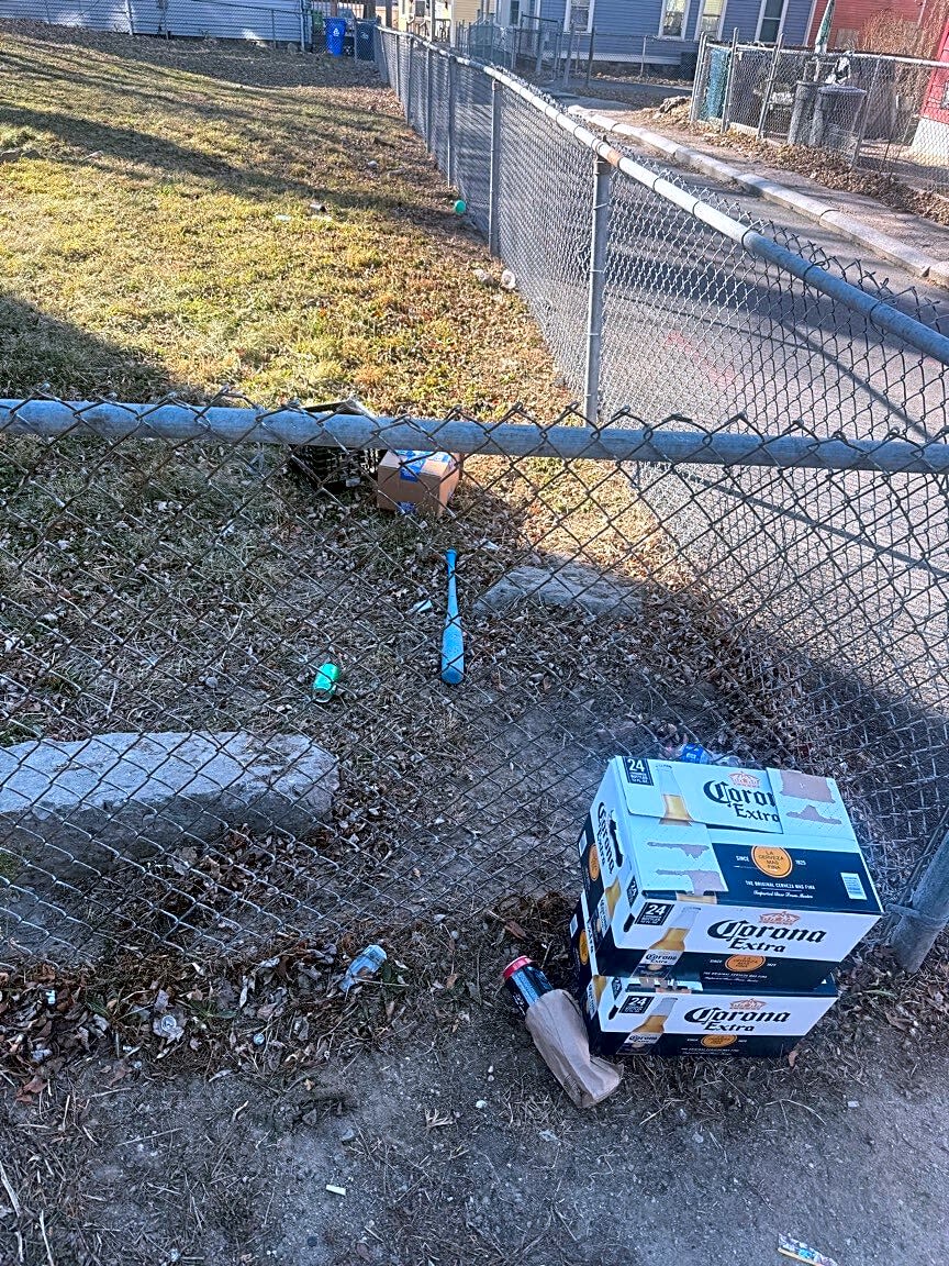 Image submitted with report