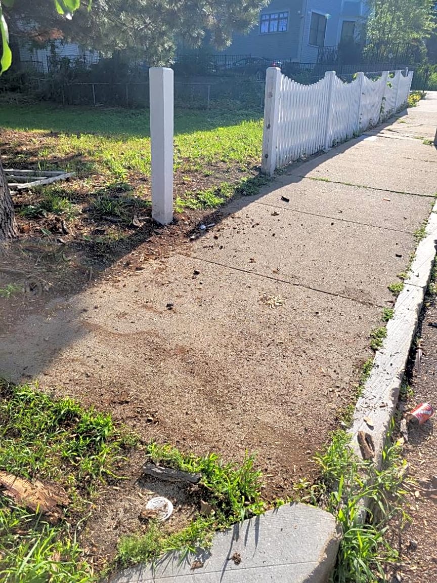 Image submitted with report