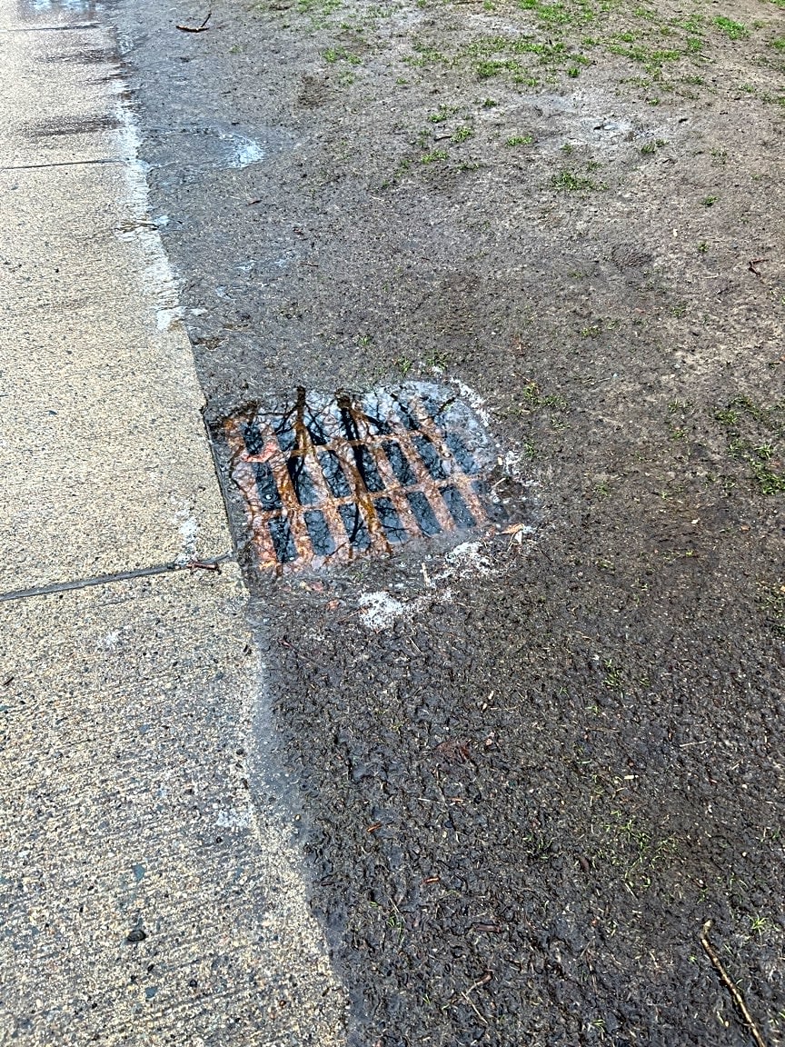 Image submitted with report