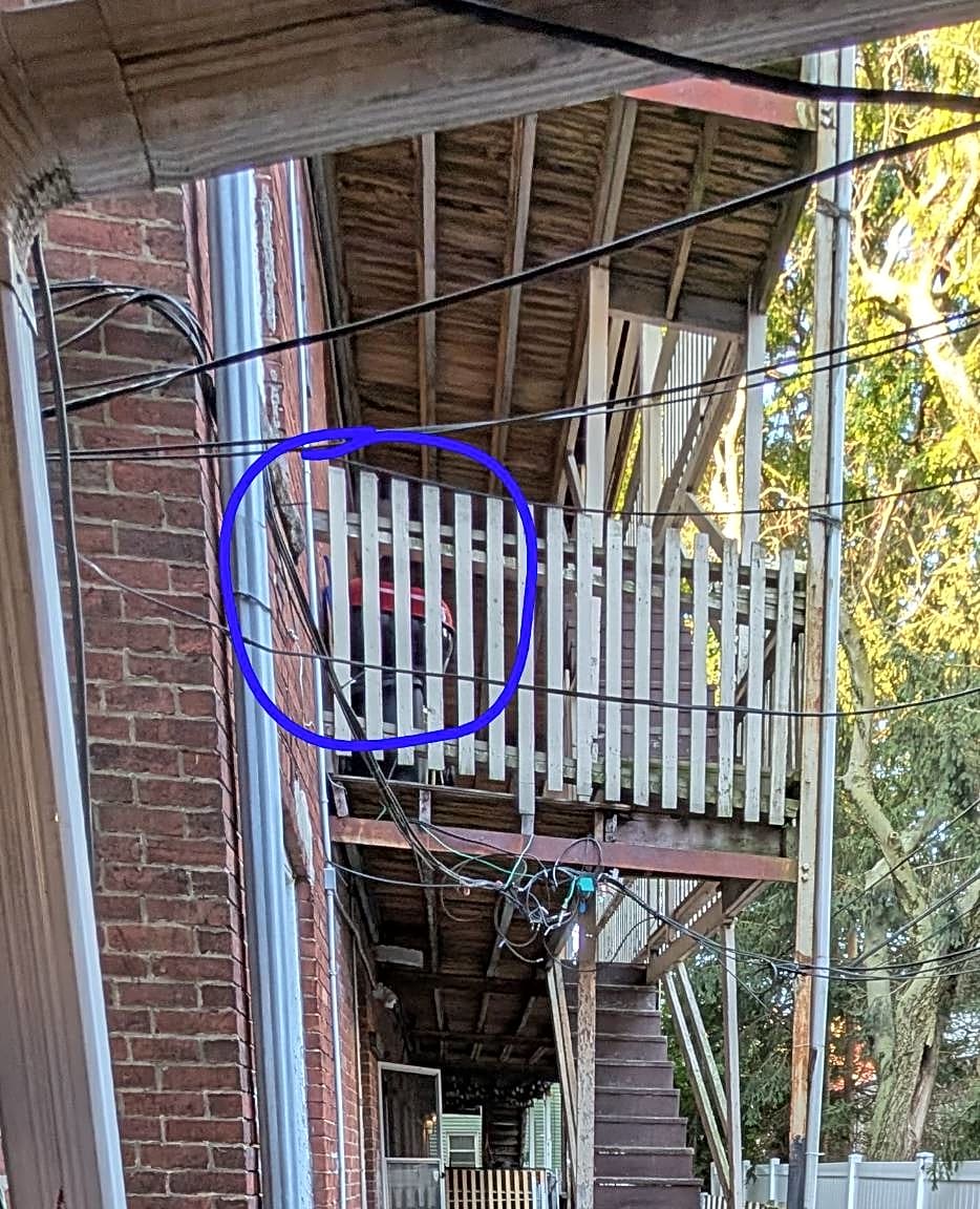 Image submitted with report