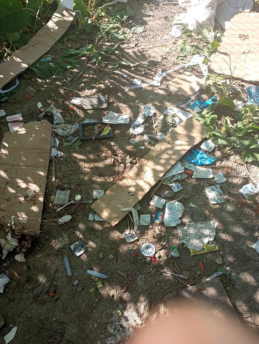Image submitted with report