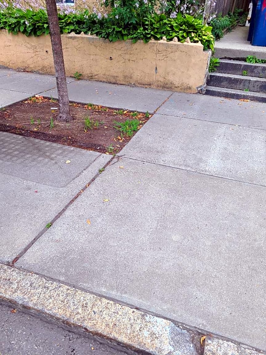Image submitted with report