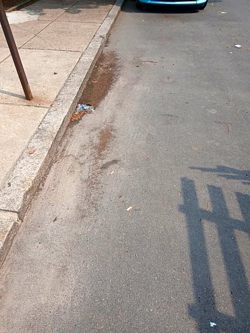 Image submitted with report
