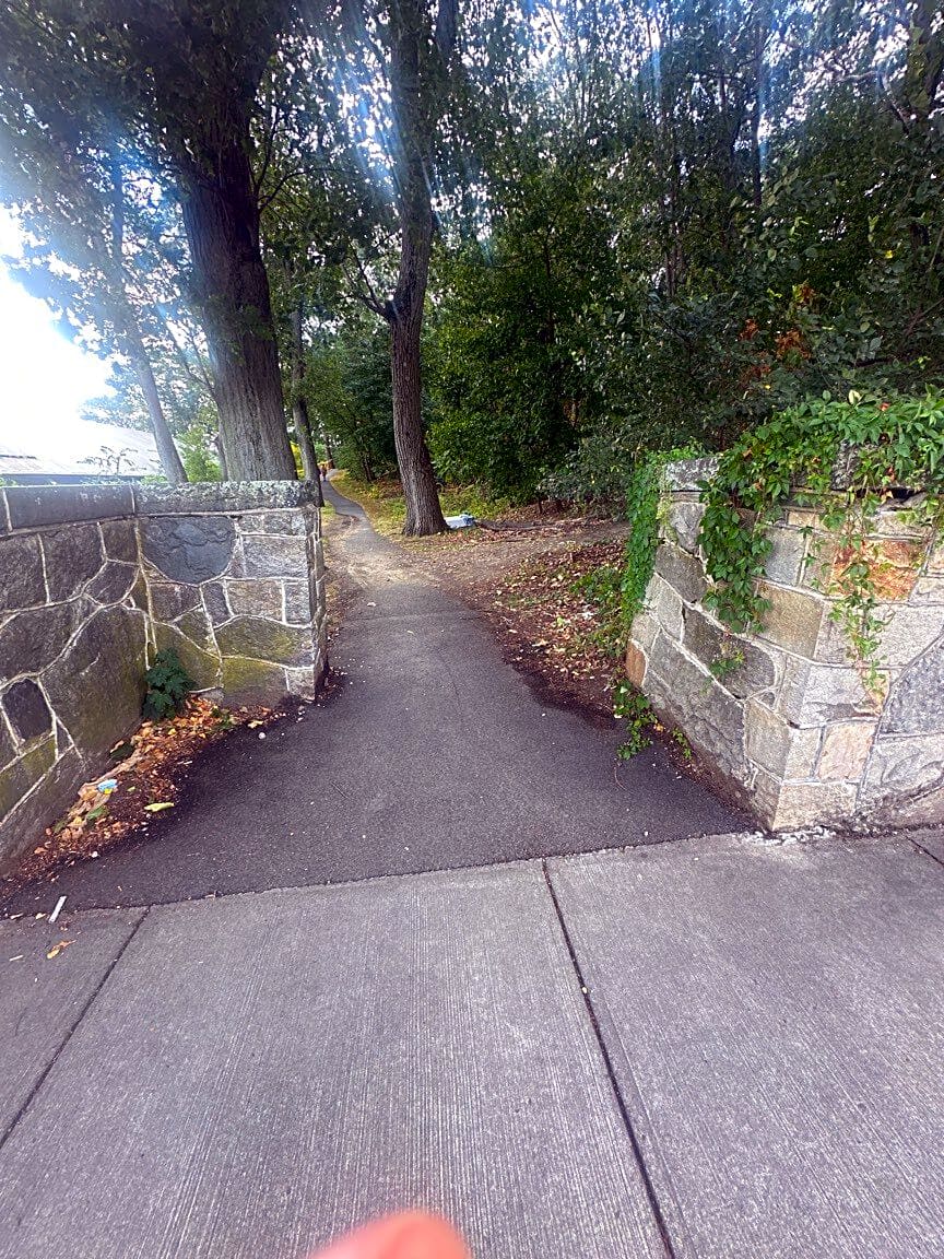 Image submitted with report